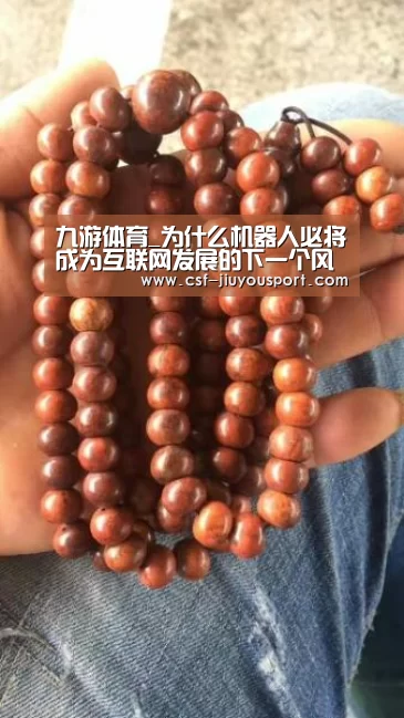 九游体育_为什么机器人必将成为互联网发展的下一个风口