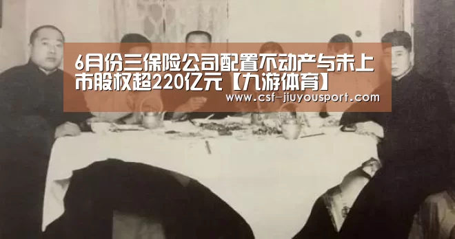 6月份三保险公司配置不动产与未上市股权超220亿元【九游体育】