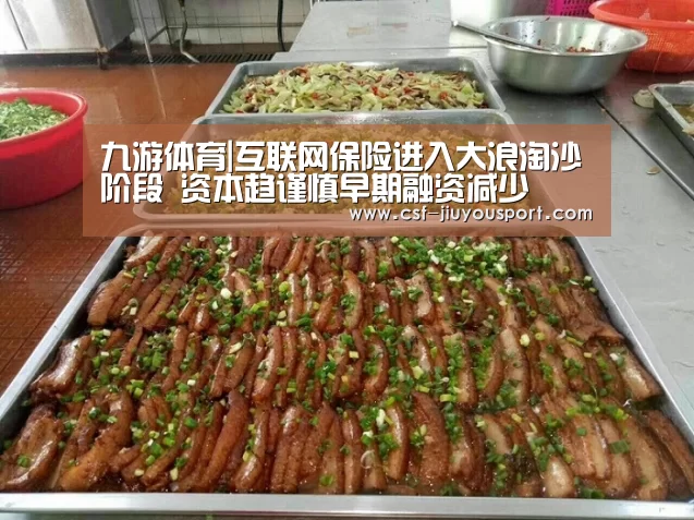 九游体育|互联网保险进入大浪淘沙阶段 资本趋谨慎早期融资减少
