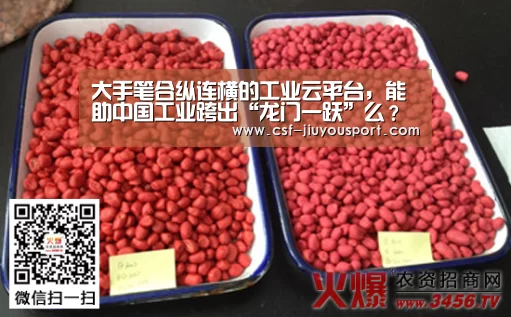 九游体育