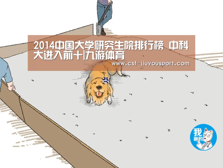 九游体育