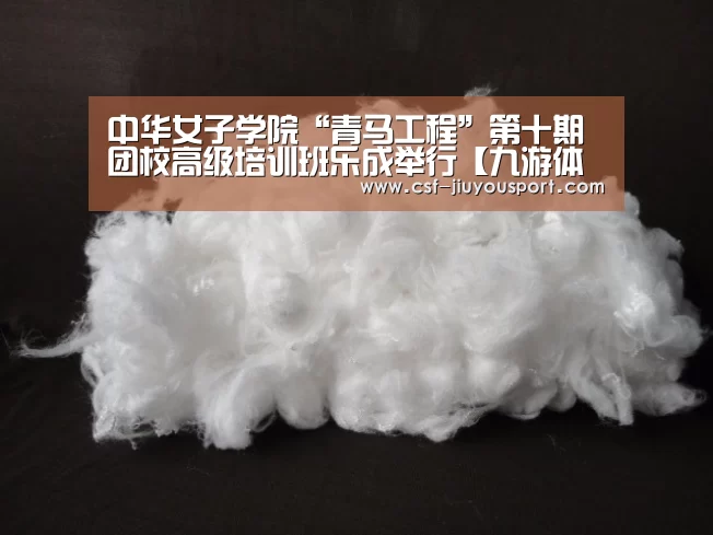 中华女子学院“青马工程”第十期团校高级培训班乐成举行【九游体育】(图5) 九游体育