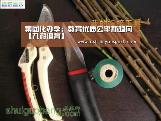 九游体育